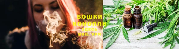 молекула духа Богородск