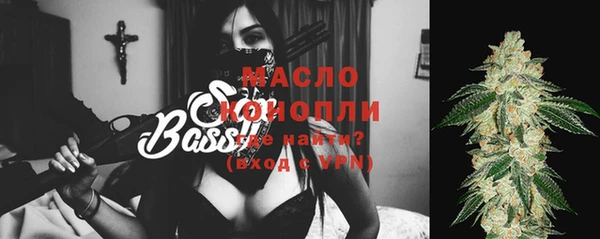 2c-b Бородино