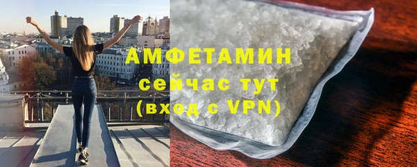 молекула духа Богородск
