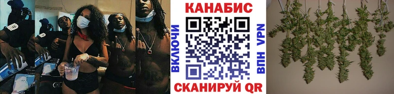 где продают   Ленинградская  Бошки марихуана THC 21% 